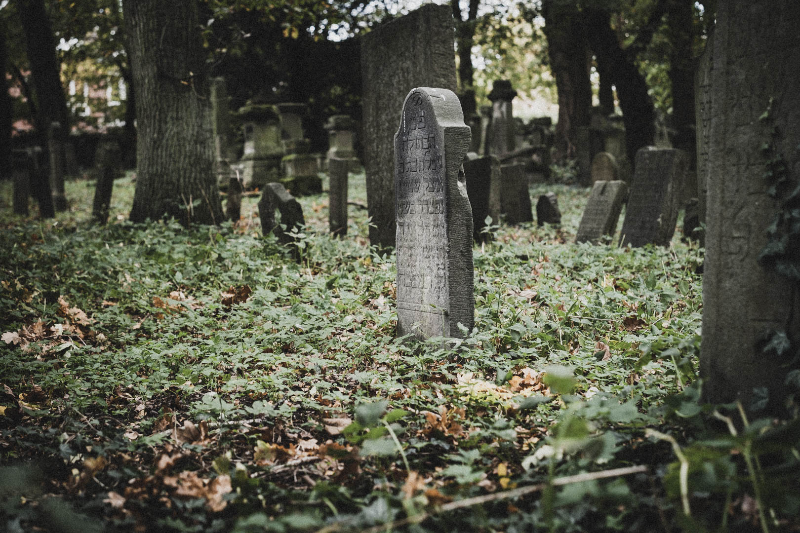 Emden, Jüdischer Friedhof